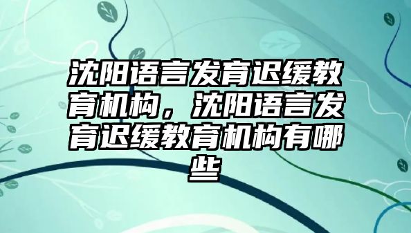 沈陽語言發育遲緩教育機構，沈陽語言發育遲緩教育機構有哪些