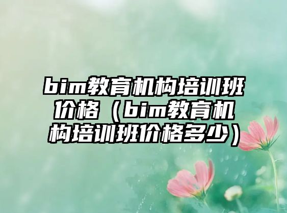 bim教育機構培訓班價格（bim教育機構培訓班價格多少）