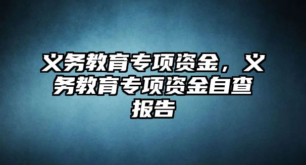 義務教育專項資金，義務教育專項資金自查報告