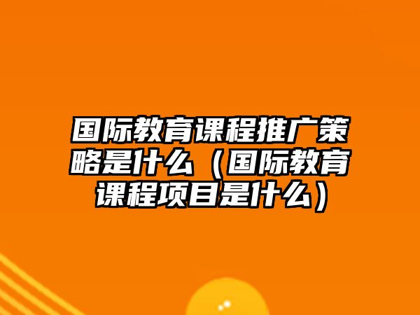 國際教育課程推廣策略是什么（國際教育課程項目是什么）