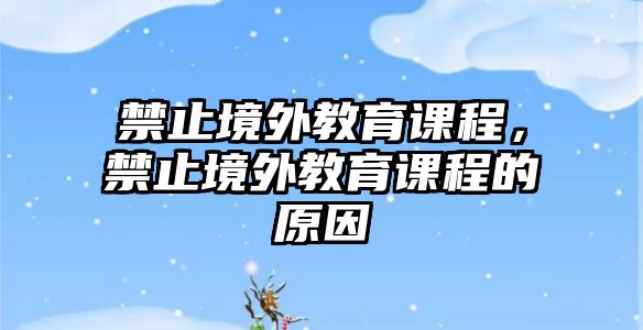 禁止境外教育課程，禁止境外教育課程的原因