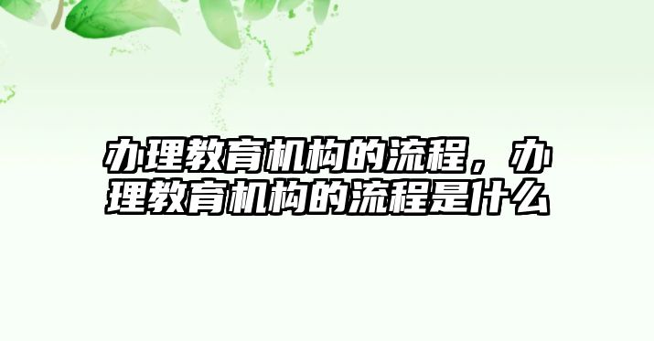 辦理教育機構(gòu)的流程，辦理教育機構(gòu)的流程是什么