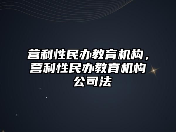 營利性民辦教育機(jī)構(gòu)，營利性民辦教育機(jī)構(gòu) 公司法