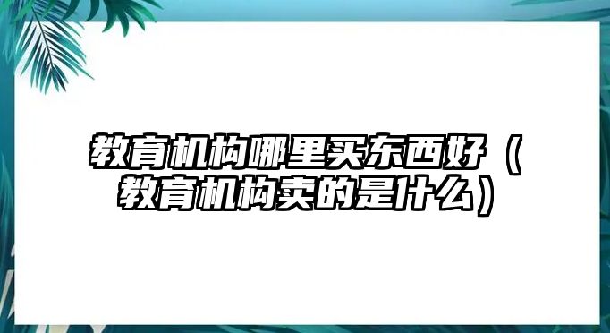 教育機構(gòu)哪里買東西好（教育機構(gòu)賣的是什么）