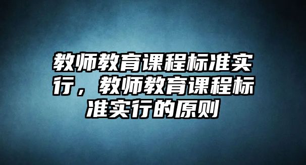 教師教育課程標準實行，教師教育課程標準實行的原則