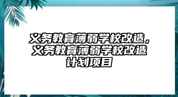 義務(wù)教育薄弱學(xué)校改造，義務(wù)教育薄弱學(xué)校改造計(jì)劃項(xiàng)目