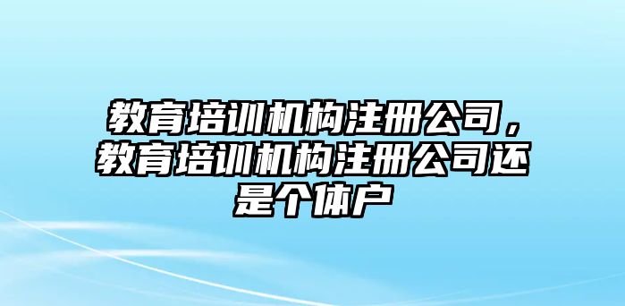 教育培訓機構注冊公司，教育培訓機構注冊公司還是個體戶