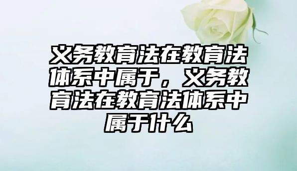 義務教育法在教育法體系中屬于，義務教育法在教育法體系中屬于什么