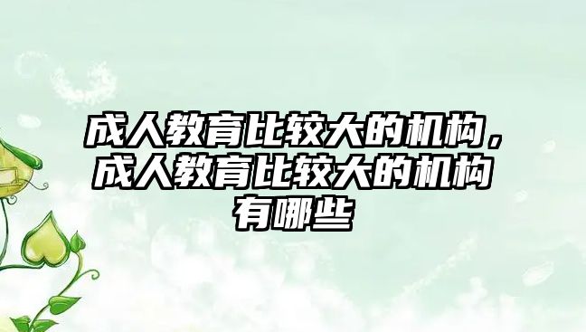 成人教育比較大的機構，成人教育比較大的機構有哪些