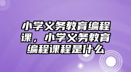 小學義務(wù)教育編程課，小學義務(wù)教育編程課程是什么