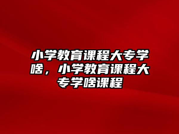 小學教育課程大專學啥，小學教育課程大專學啥課程