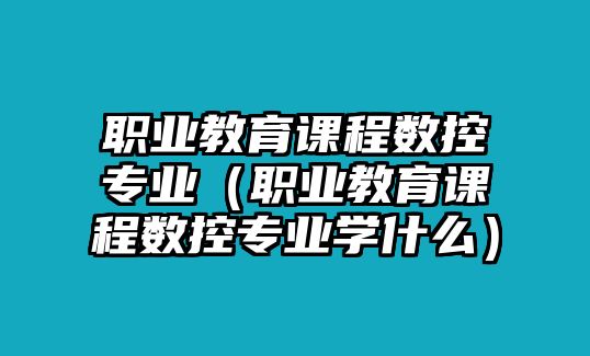 職業教育課程數控專業（職業教育課程數控專業學什么）