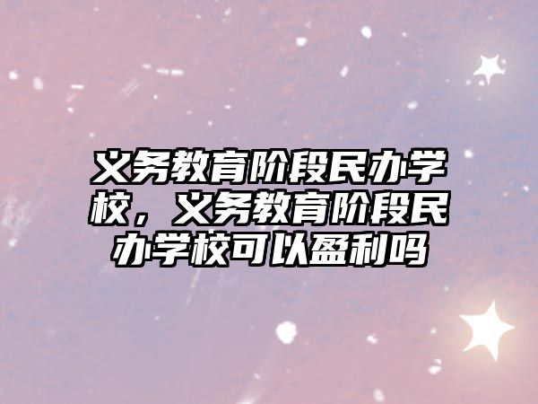 義務教育階段民辦學校，義務教育階段民辦學校可以盈利嗎