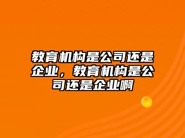 教育機構是公司還是企業，教育機構是公司還是企業啊