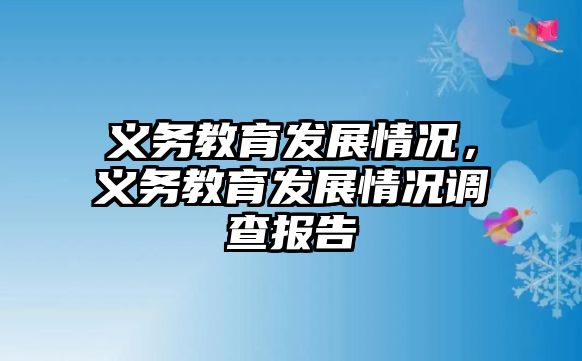 義務教育發展情況，義務教育發展情況調查報告