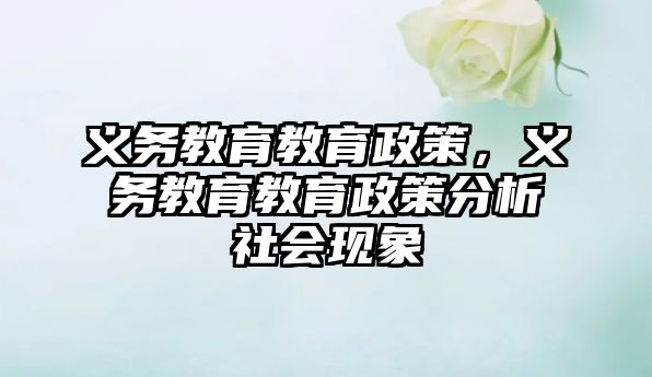 義務教育教育政策，義務教育教育政策分析社會現象