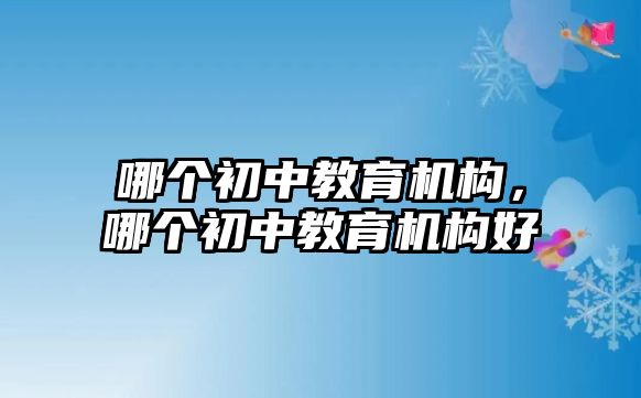 哪個初中教育機構(gòu)，哪個初中教育機構(gòu)好