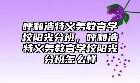 呼和浩特義務教育學校陽光分班，呼和浩特義務教育學校陽光分班怎么樣