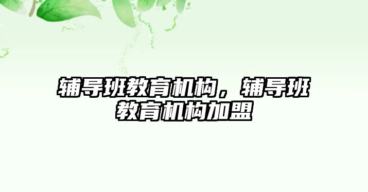 輔導班教育機構，輔導班教育機構加盟