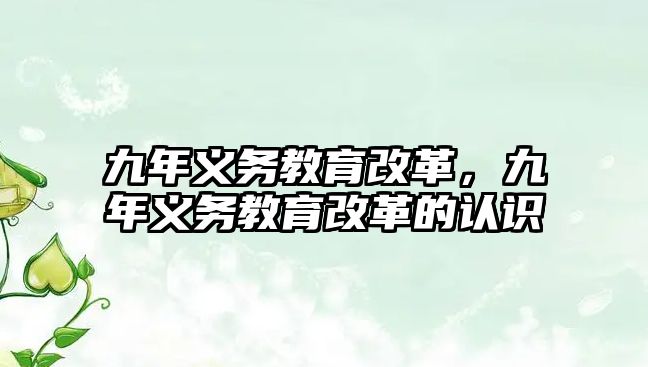 九年義務教育改革，九年義務教育改革的認識