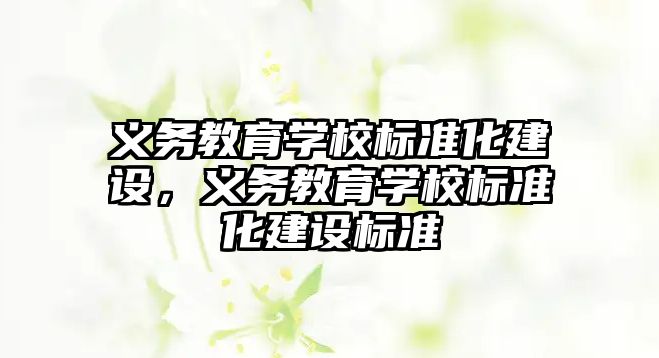 義務教育學校標準化建設，義務教育學校標準化建設標準