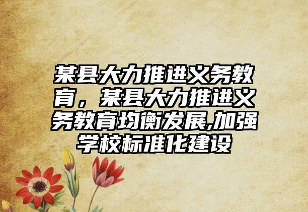 某縣大力推進義務(wù)教育，某縣大力推進義務(wù)教育均衡發(fā)展,加強學(xué)校標準化建設(shè)