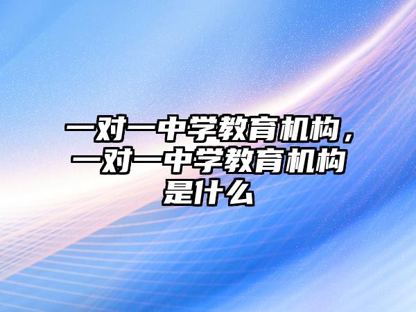 一對一中學教育機構，一對一中學教育機構是什么