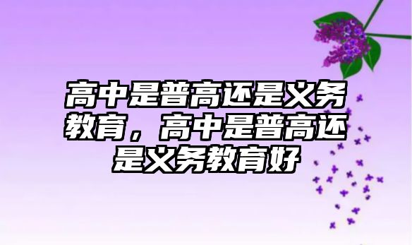 高中是普高還是義務教育，高中是普高還是義務教育好