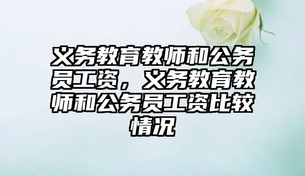 義務教育教師和公務員工資，義務教育教師和公務員工資比較情況