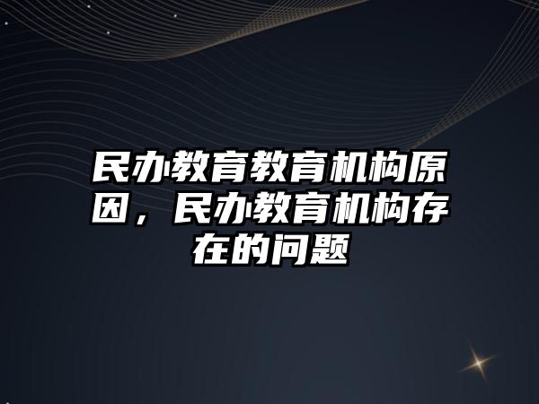 民辦教育教育機構原因，民辦教育機構存在的問題