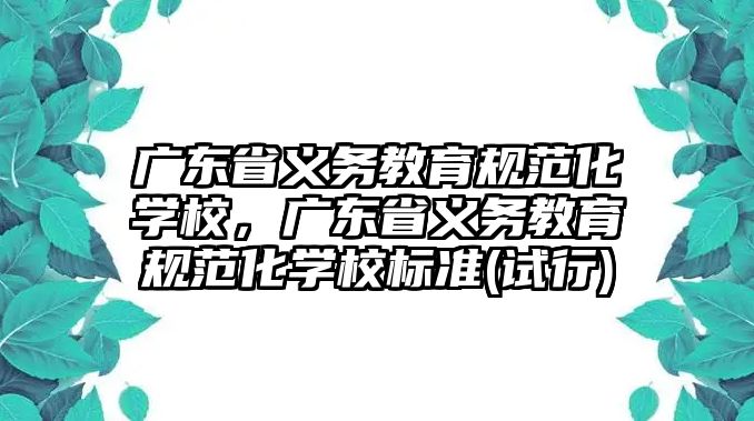 廣東省義務教育規范化學校，廣東省義務教育規范化學校標準(試行)