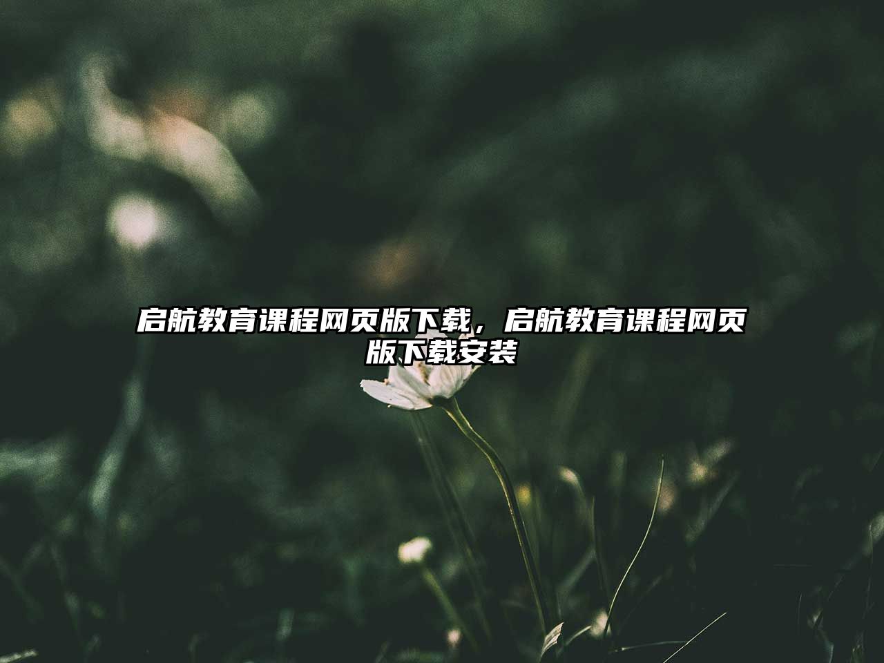 啟航教育課程網(wǎng)頁(yè)版下載，啟航教育課程網(wǎng)頁(yè)版下載安裝