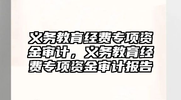 義務教育經費專項資金審計，義務教育經費專項資金審計報告