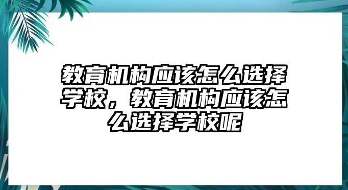 教育機構應該怎么選擇學校，教育機構應該怎么選擇學校呢