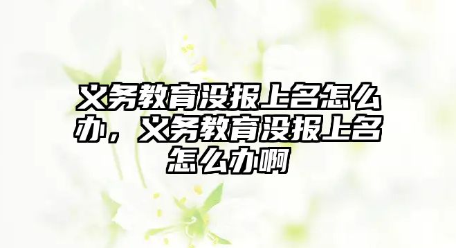 義務教育沒報上名怎么辦，義務教育沒報上名怎么辦啊