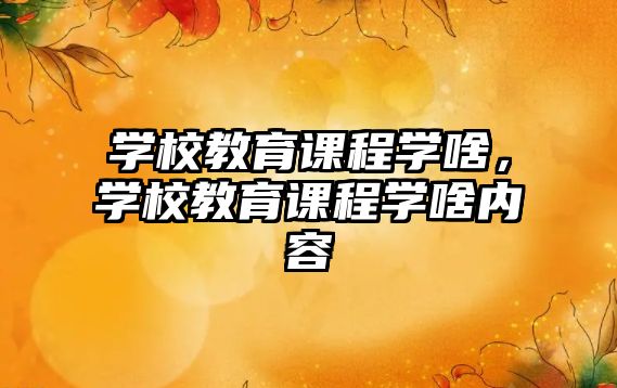 學校教育課程學啥，學校教育課程學啥內容