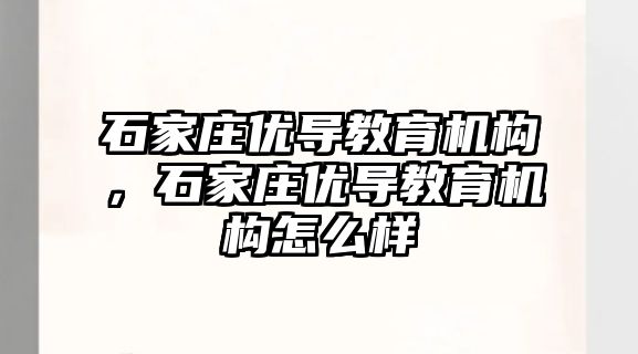 石家莊優導教育機構，石家莊優導教育機構怎么樣