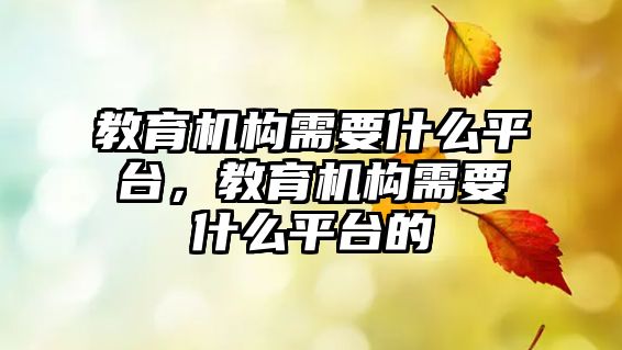 教育機構需要什么平臺，教育機構需要什么平臺的