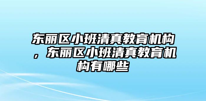 東麗區小班清真教育機構，東麗區小班清真教育機構有哪些