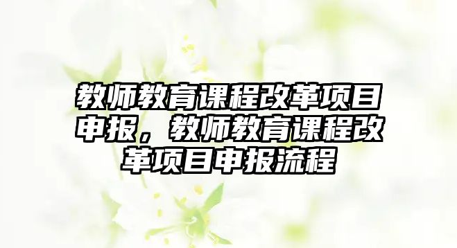 教師教育課程改革項目申報，教師教育課程改革項目申報流程