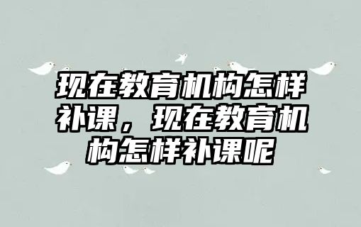 現(xiàn)在教育機(jī)構(gòu)怎樣補(bǔ)課，現(xiàn)在教育機(jī)構(gòu)怎樣補(bǔ)課呢