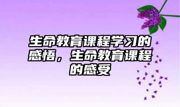 生命教育課程學習的感悟，生命教育課程的感受