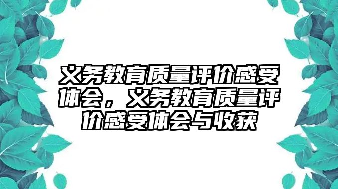 義務教育質量評價感受體會，義務教育質量評價感受體會與收獲