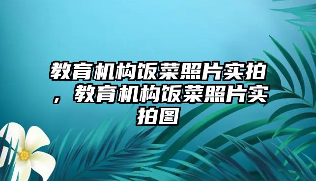 教育機構飯菜照片實拍，教育機構飯菜照片實拍圖