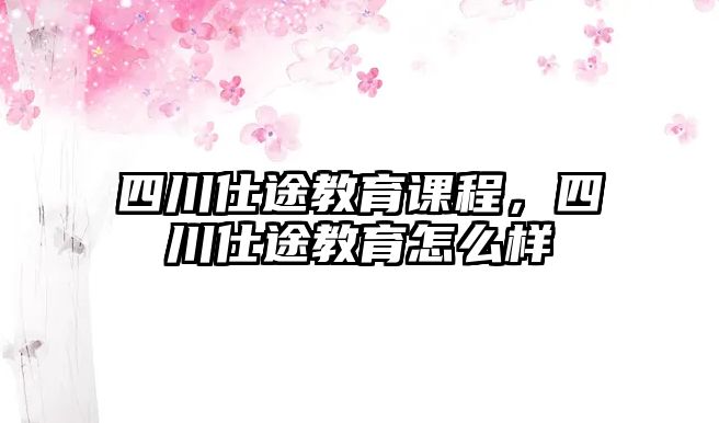 四川仕途教育課程，四川仕途教育怎么樣