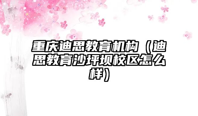 重慶迪思教育機構（迪思教育沙坪壩校區怎么樣）