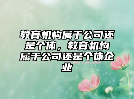 教育機構屬于公司還是個體，教育機構屬于公司還是個體企業