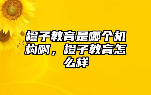 橙子教育是哪個機構啊，橙子教育怎么樣