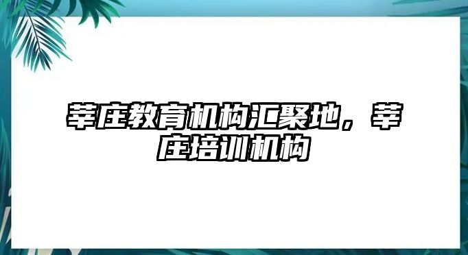 莘莊教育機(jī)構(gòu)匯聚地，莘莊培訓(xùn)機(jī)構(gòu)