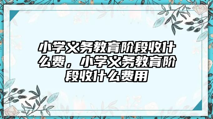 小學義務教育階段收什么費，小學義務教育階段收什么費用